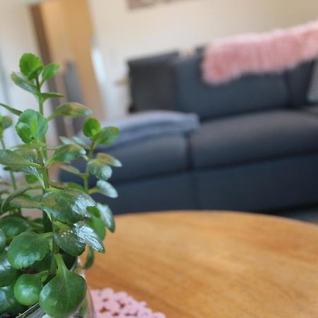 Ferienhaus Seehuis, Sauna, Angeln, Familienfreundlich Twist Exteriör bild